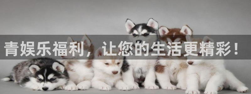 辉达平台官网
